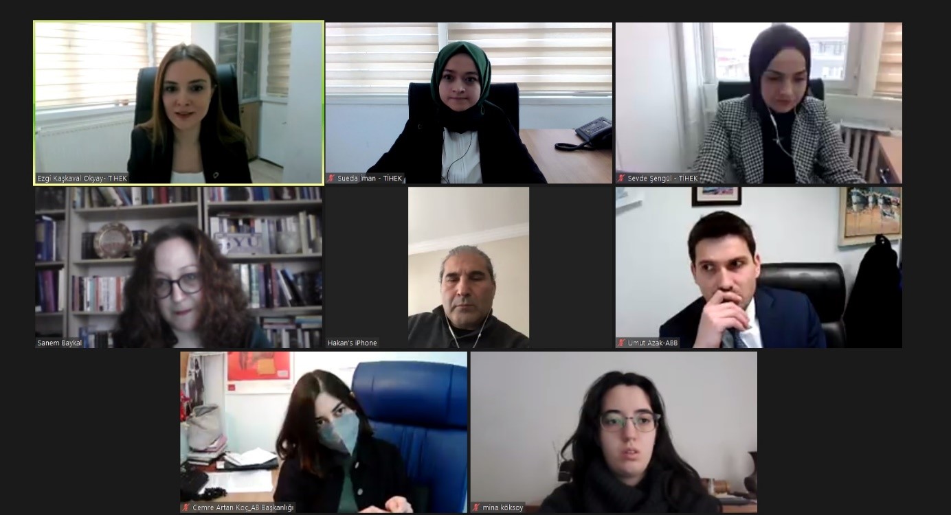 Online Meeting was held within the scope of Strengthening Fundamental Rights Sector Coordination Project