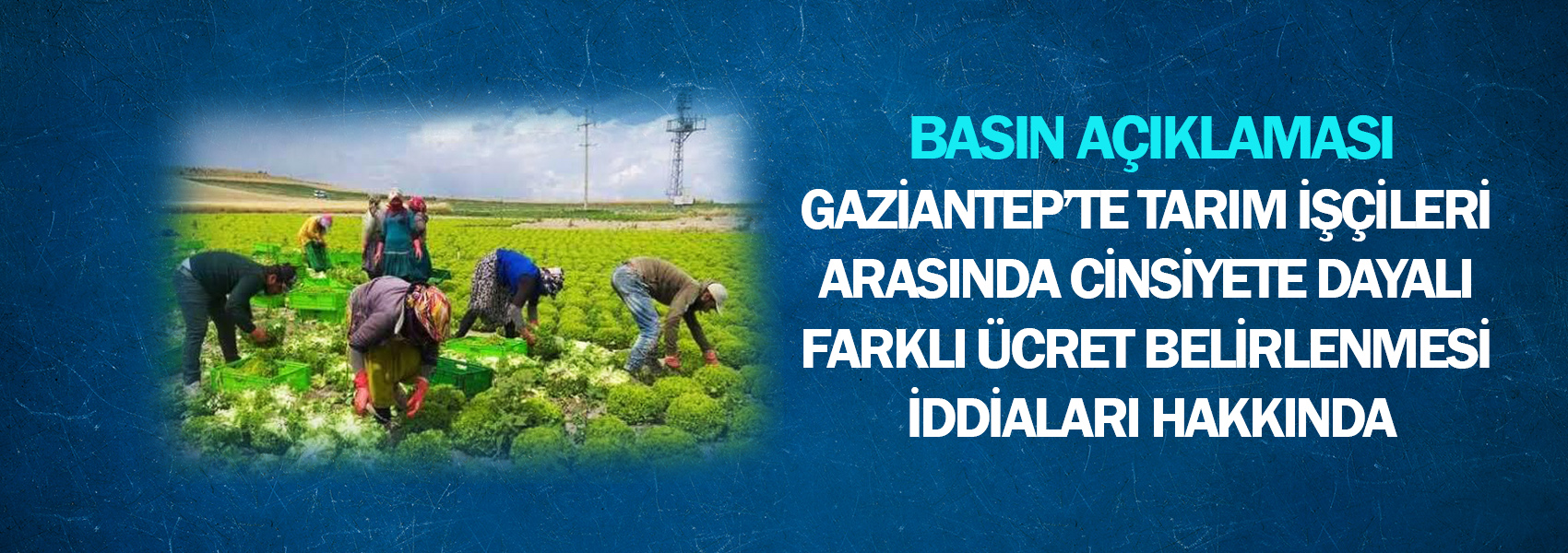 Gaziantep’te Tarım İşçileri Arasında Cinsiyete Dayalı Farklı Ücret Belirlenmesi İddiaları Hakkında Basın Açıklaması