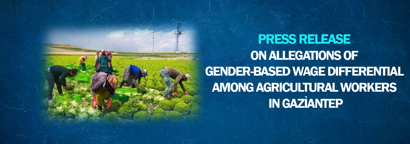 Press Release on Allegations of Gender-Based Wage Differential Among Agricultural Workers in Gaziantep