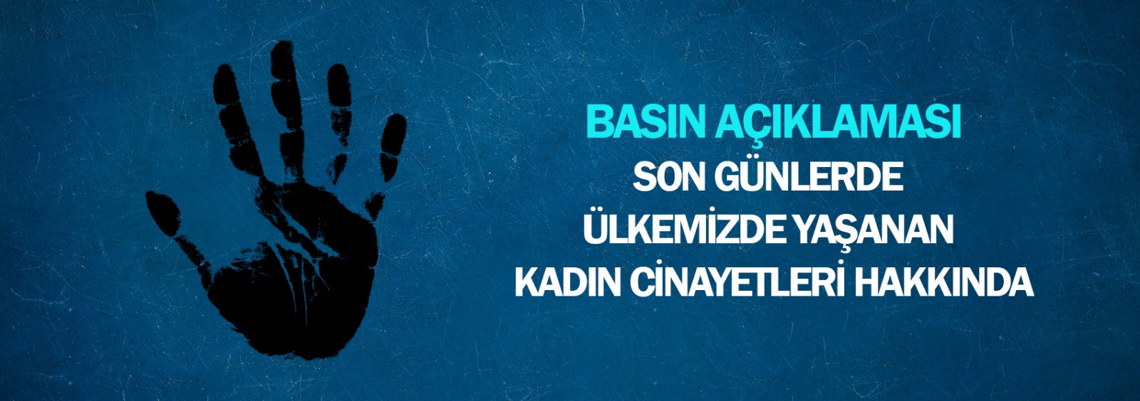 Son Günlerde Ülkemizde Yaşanan Kadın Cinayetleri Hakkında  Basın Açıklaması