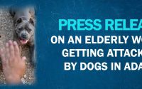 Press Release On An Elderly Woman Getting Attacked By Dogs In Adana